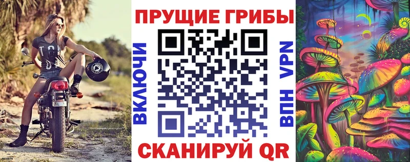 Псилоцибиновые грибы мицелий  Новый Уренгой 